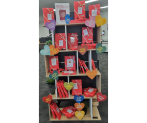 Library Lover's Day