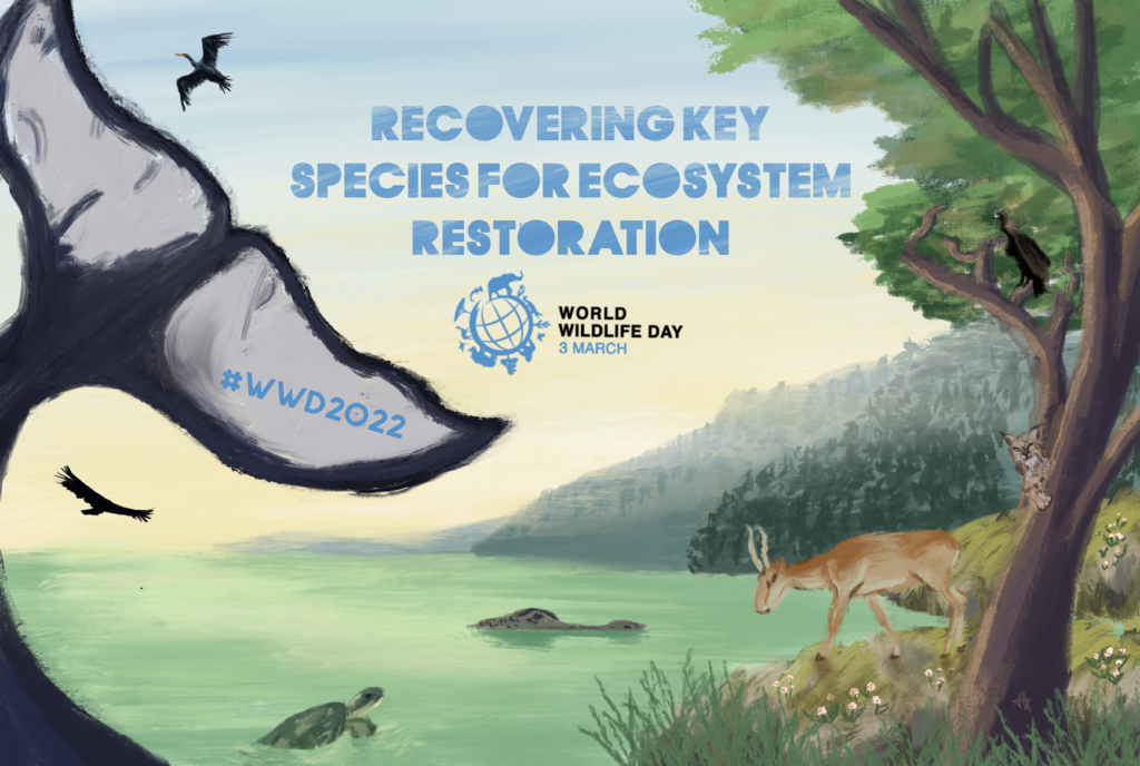 World Wildlife Day