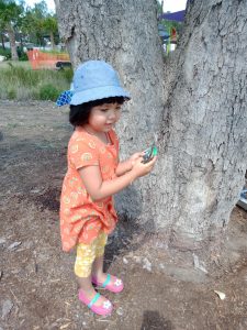 Looking for painted rocks at the Botanic Parkland