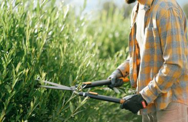 Trimming hedges is a form of gardening exercise